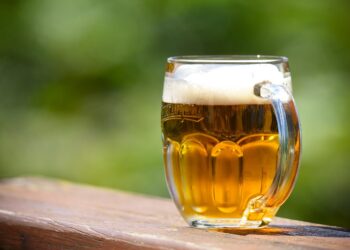 Perfect Beer Pairing with Appetizers for Your Next Gathering