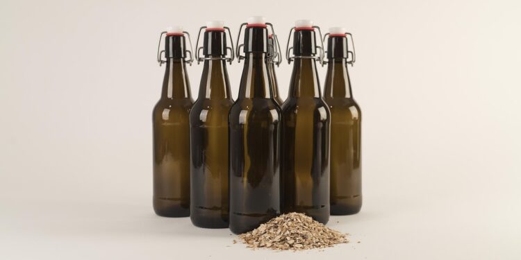 Discover the Perfect Beer Pairing with Salty Snacks for Your Next Gathering