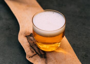 Ultimate Beer and Cheese Pairing Guide for Flavor Enthusiasts