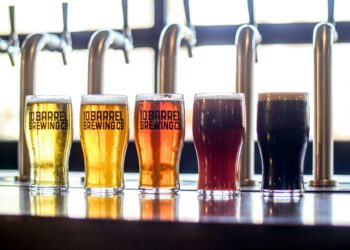 Ultimate Craft Beer Hops Guide: Discover Your Perfect Brew