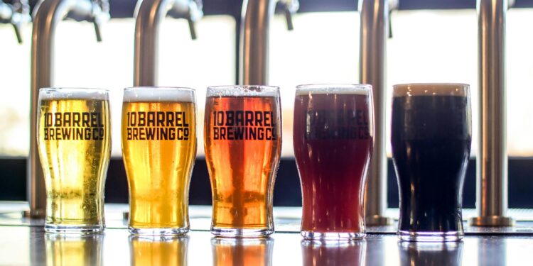 Ultimate Craft Beer Hops Guide: Discover Your Perfect Brew