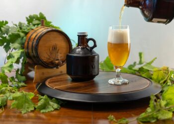 A Beginner’s Guide to Discovering Beer Types and Styles for Beginners