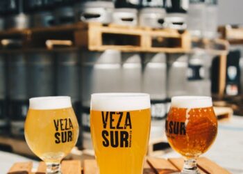 Unlocking the Secrets of Small Batch Craft Beer Brewing: 10 Essential Tips