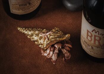 Top 10 Must-Have Beer Tools and Accessories List for Craft Enthusiasts