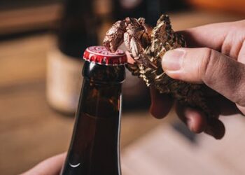 10 Must-Have Beer Glassware Accessories for Every Enthusiast