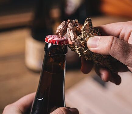 10 Must-Have Beer Glassware Accessories for Every Enthusiast