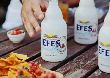 10 Best Beer Pairing with Cheese Board Combinations to Elevate Your Next Gathering